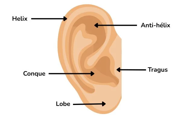 zones tatouage oreille
