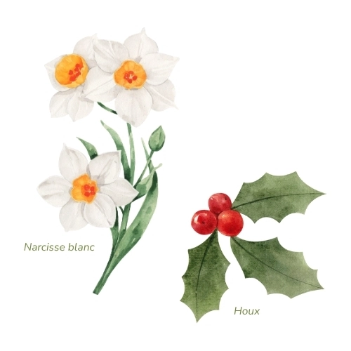 tatouage fleur de naissance décembre