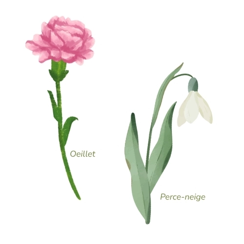 fleur de naissance tatouage janvier