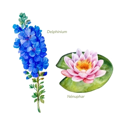 fleurs de naissance tatouage juillet