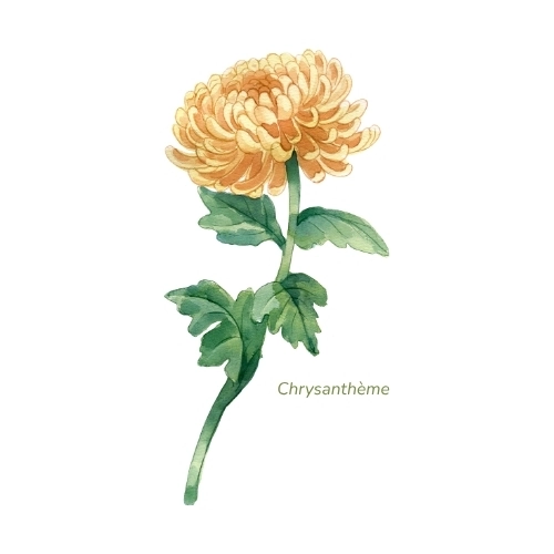 tatouage fleur de naissance novembre