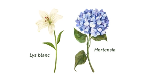 tatouage fleur signe cancer