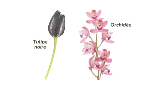 tatouage fleur signe astrologique scorpion