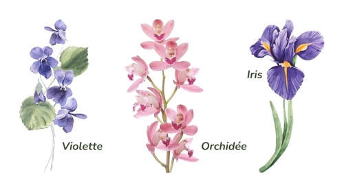 tatouage fleur signe astrologique verseau