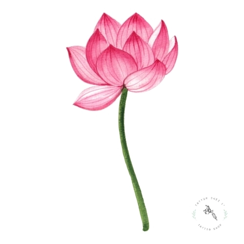 tatouage fleur signe astrologique balance