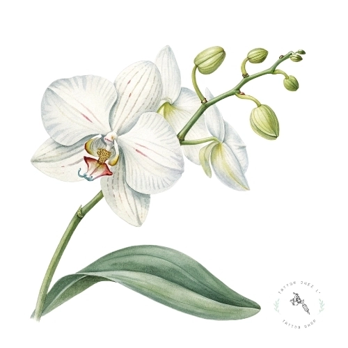 tatouage fleur signe astrologique balance