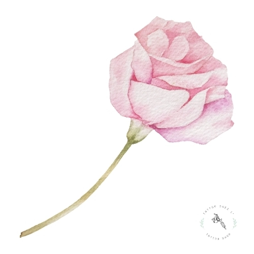 tatouage fleur signe astrologique scorpion