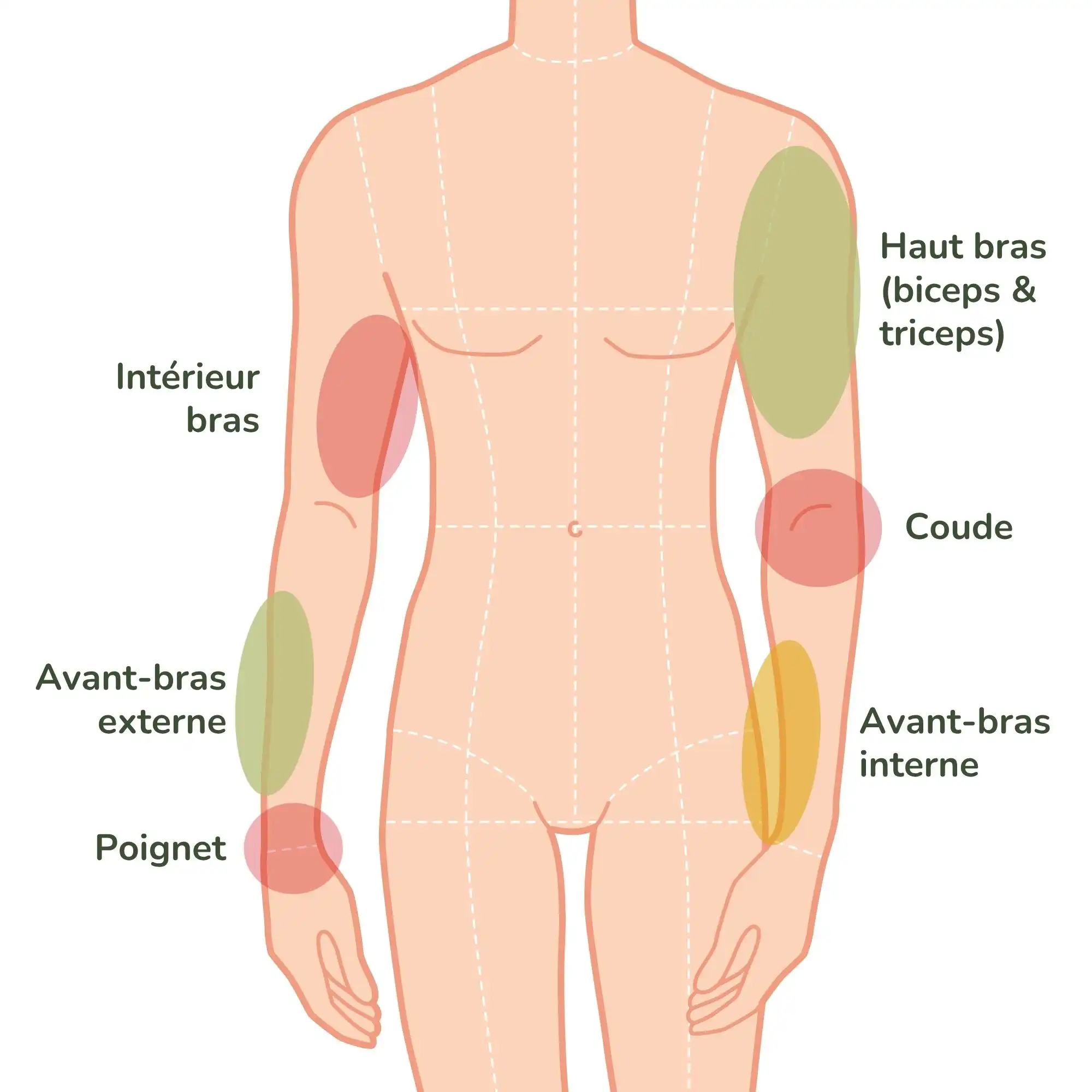 carte des zones de douleur pour un tatouage sur le bras du haut du bras jusqu'au poignet