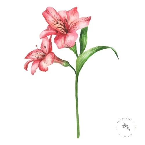 Alstroemeria - Amitié durable et dévotion Alstroemeria - Symbole d'amitié durable et de dévotion en tatouage floral
