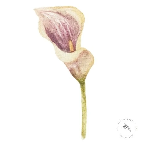 Arum - Pureté et renaissance Arum, fleur symbolisant la pureté et la renaissance en tatouage floral