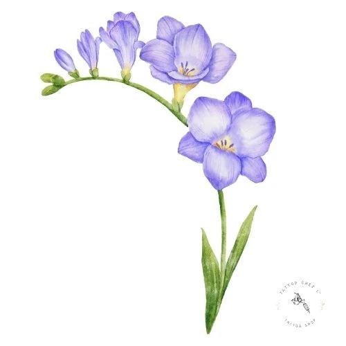 Freesia - Confiance et amitié durable Freesia - Symbole de confiance et d'amitié sincère en tatouage