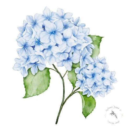 Hortensia - Gratitude et abondance Hortensia, symbole de gratitude et d'abondance en tatouage