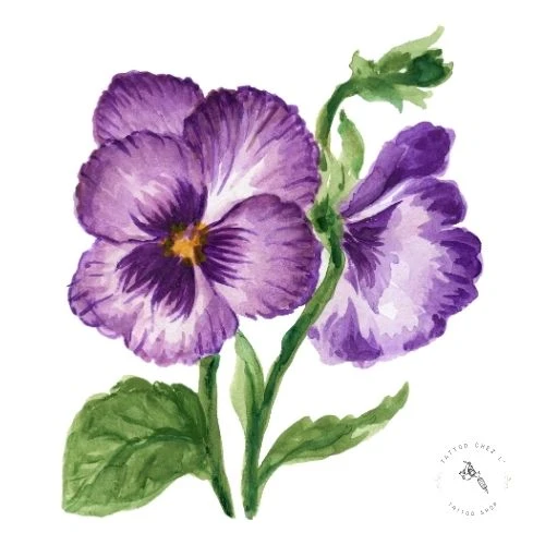 Pensée - Souvenir et affection Pensée, fleur symbolisant le souvenir et l'affection en tatouage