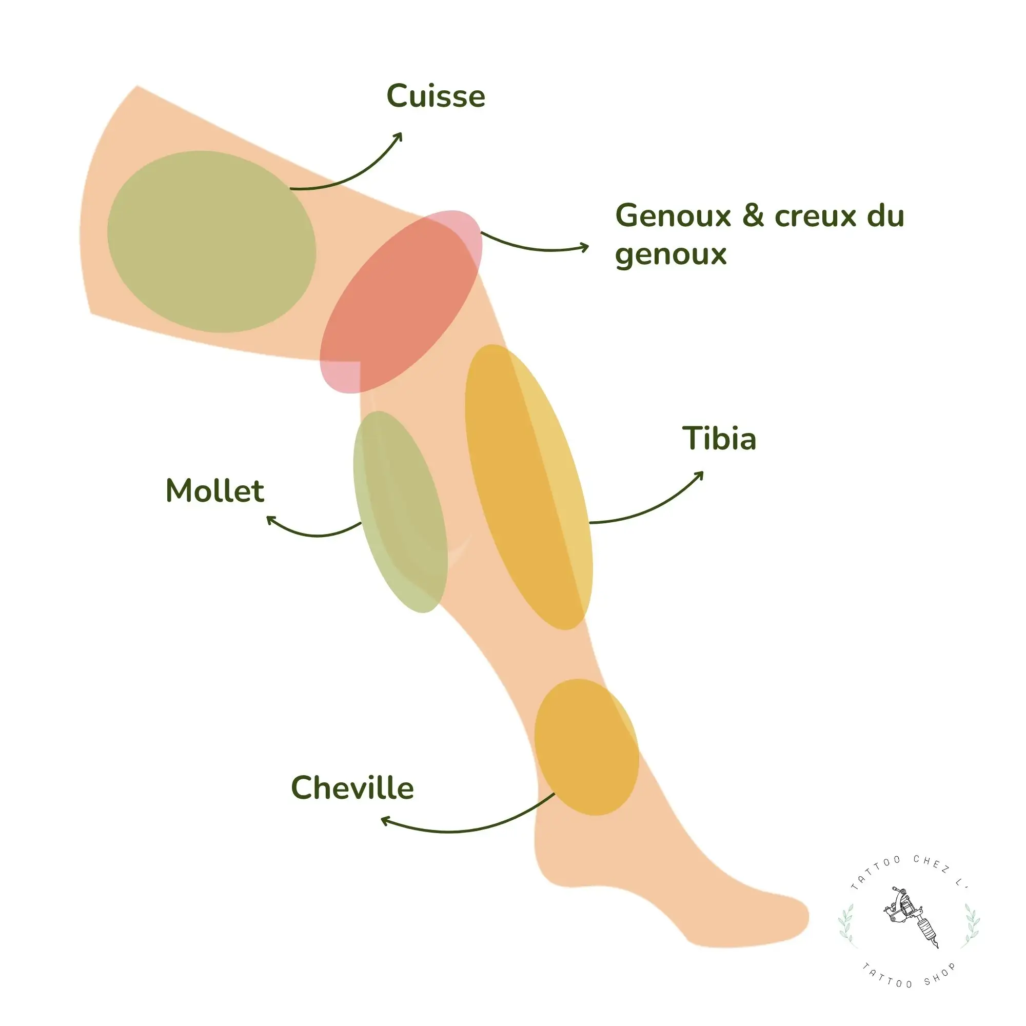 Échelle de douleur - Tatouage jambe schéma de l'échelle de douleurs des différentes parties de la jambe pour un tatouage